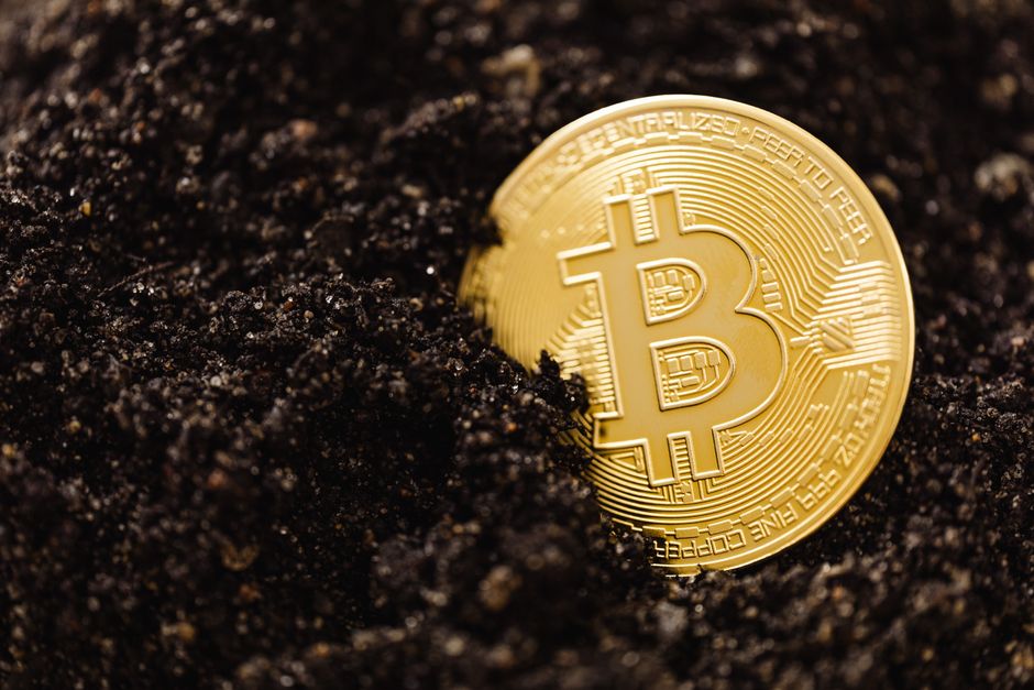 비트코인 반감기 다음 주기는 언제일까